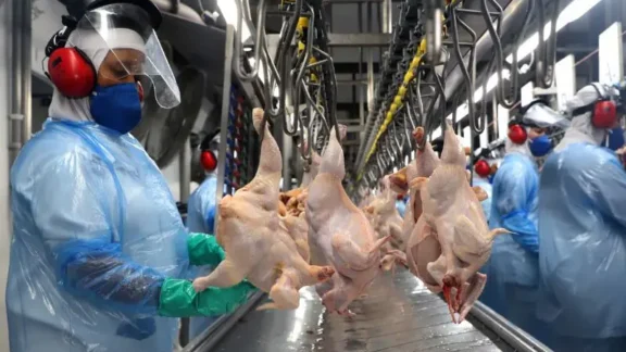 Frigorífico do Paraná é habilitado para exportar frango para a Malásia