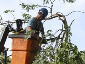 Chuvarada provoca alagamentos e queda de árvores em Curitiba