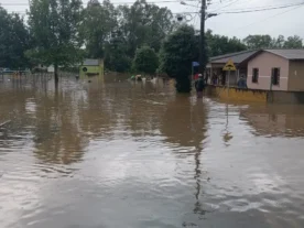 Nível dos rios do Paraná não para de subir; 20 cidades em emergência
