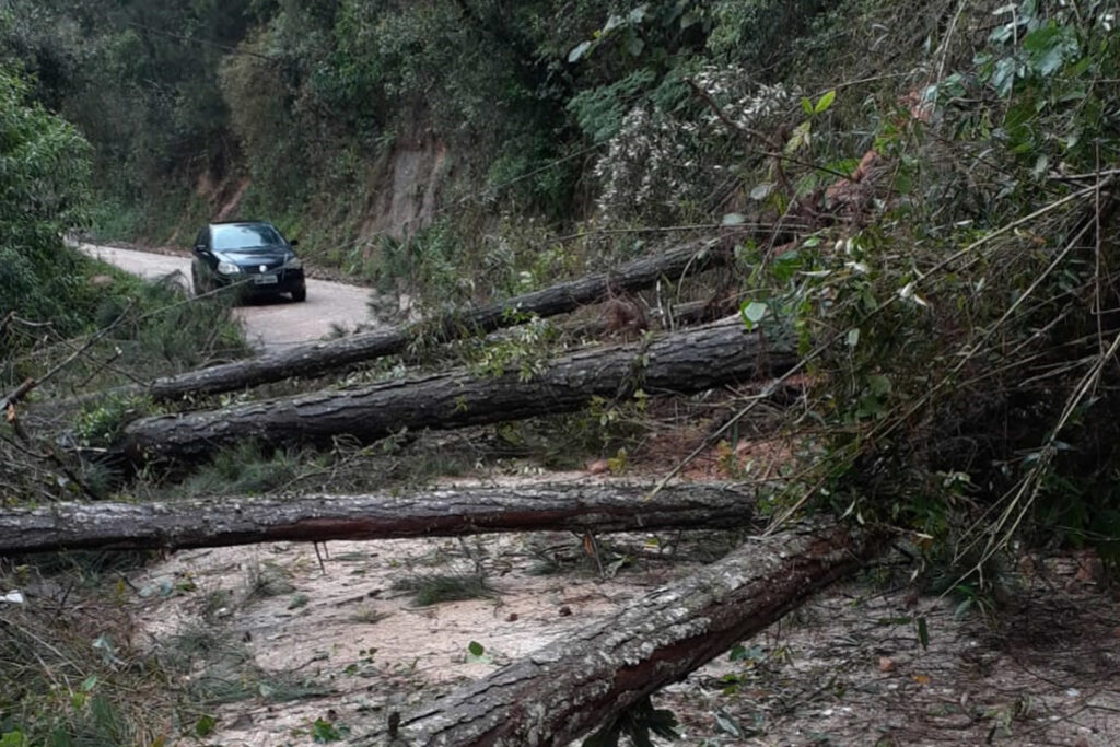 Rodovias no Paraná têm bloqueios devido às chuvas; veja quais