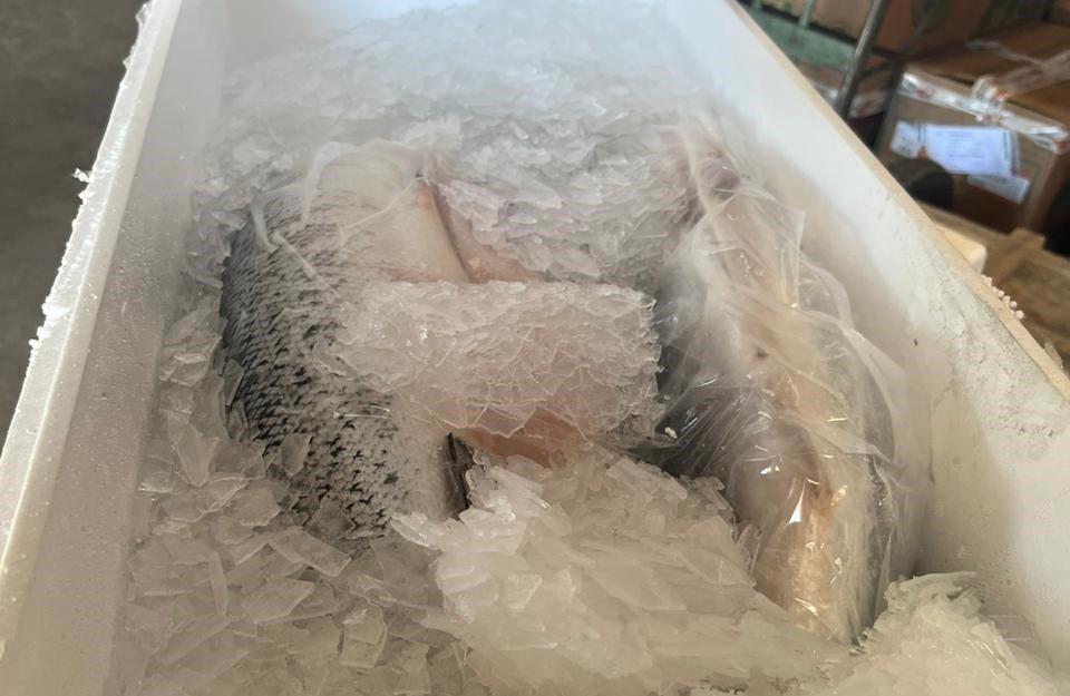 Polícia recupera 19 toneladas de salmão roubadas, em Curitiba