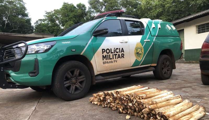 Homem é preso por extração ilegal de palmito no Parque Nacional do Iguaçu