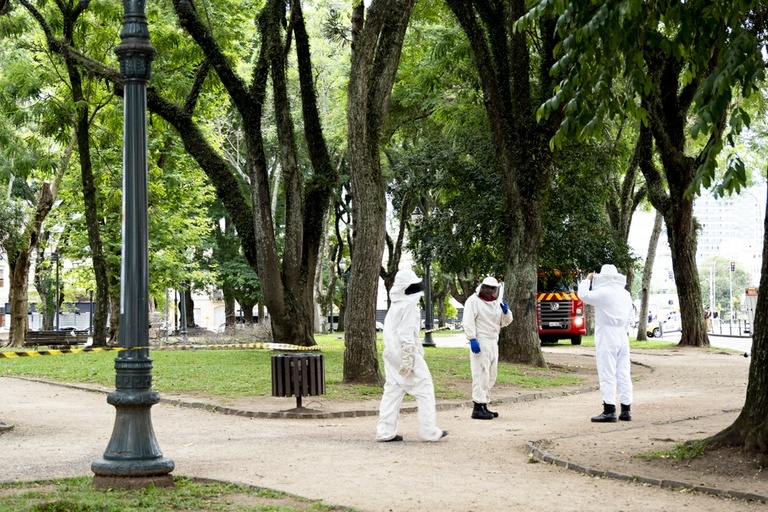 Ataque de abelhas deixa 13 pessoas feridas em praça de Curitiba
