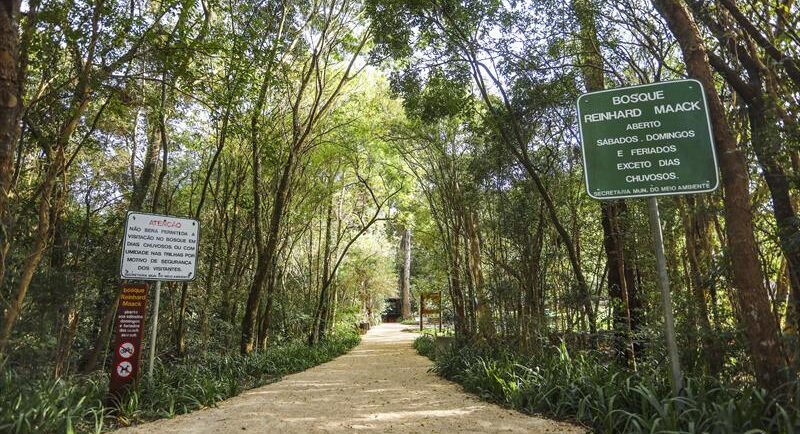 Bosque de Curitiba reduz a temperatura em até 4ºC