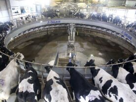 Produtores de leite observam recuperação da indústria em janeiro, diz Deral
