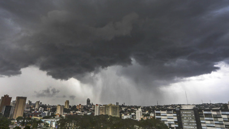 Chuva em Curitiba causa 18 quedas de galhos e árvores