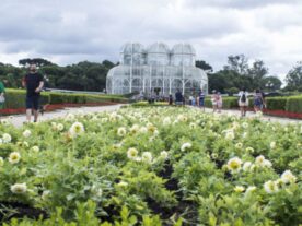 Jardim Botânico de Curitiba recebe novas flores com as cores do verão