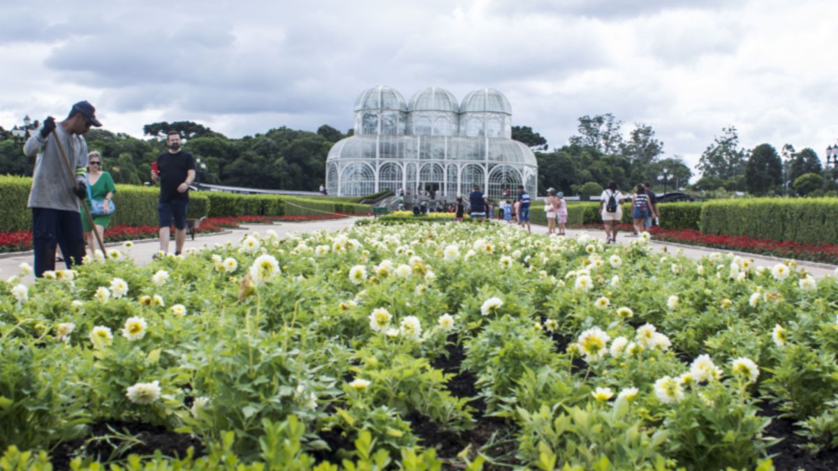 jardim botânico, parque, curitiba, flores, verão, manutenção, prefeitura de curitiba, turismo