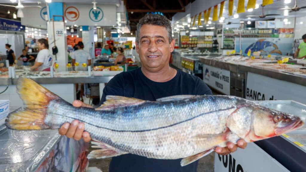 mercado de peixes de matinhos, peixe, pescados, comércio, matinhos, litoral, paraná, Gabriel Rosa-AEN