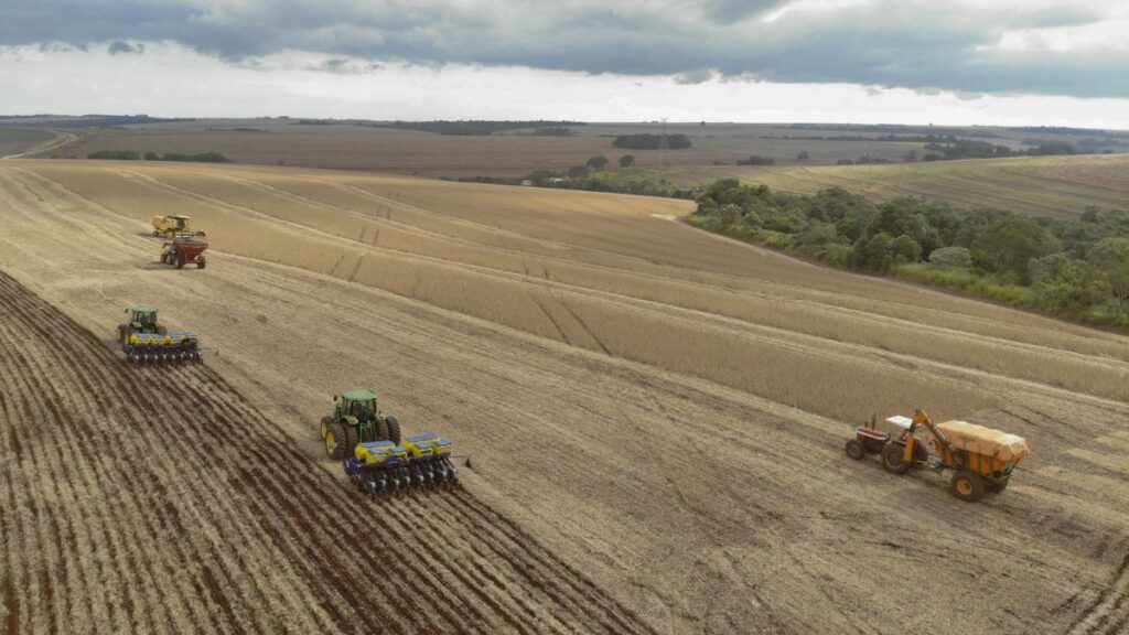 Milho safrinha tem plantio iniciado com projeção de colheita recorde no Paraná