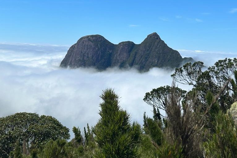 Trilha do Pico Paraná passa a exigir assinatura de termo de risco
