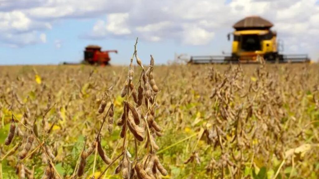 Projeção de colheita da soja diminui no Paraná