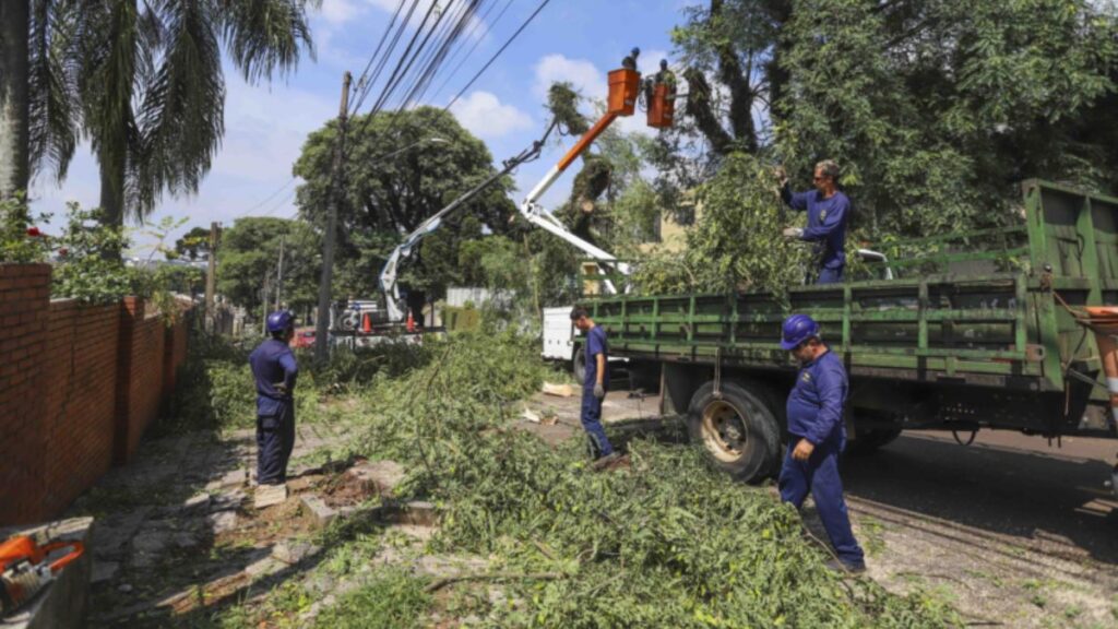 Após temporal, Prefeitura de Curitiba recolhe galhos e árvores caídas
