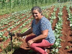 Produtores rurais ganham desconto na energia para irrigação noturna no Paraná