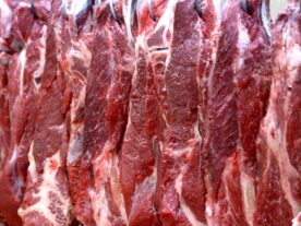 paraná exportação carne bovina canadá