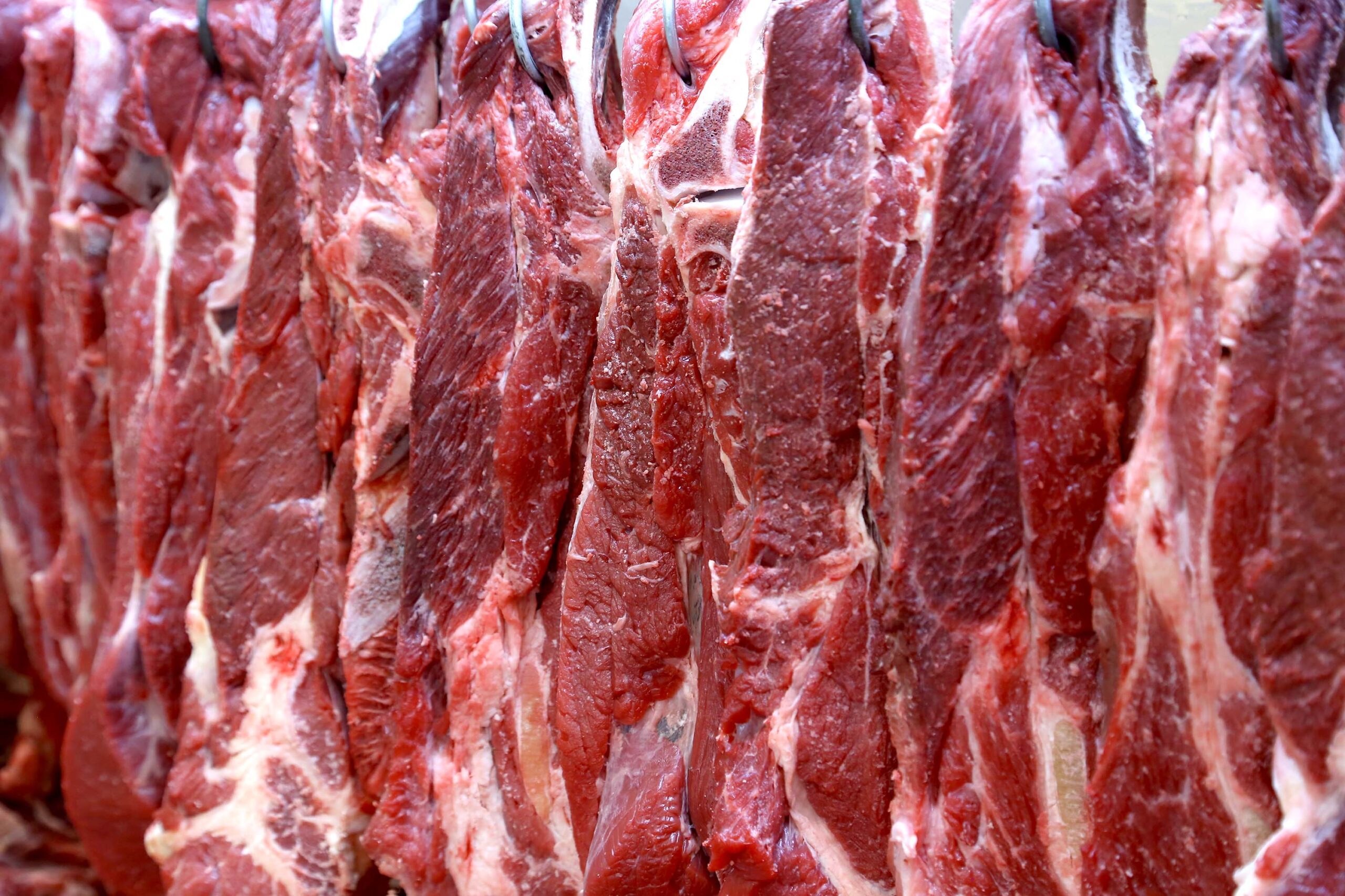 paraná exportação carne bovina canadá