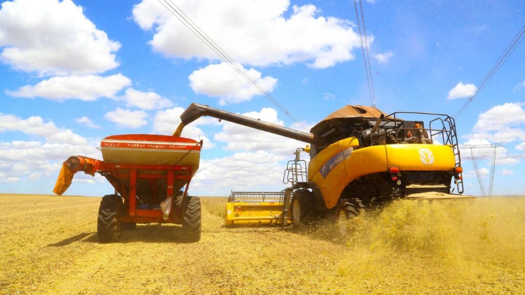 Colheita atípica de soja eleva exportações do Paraná em 282% em janeiro