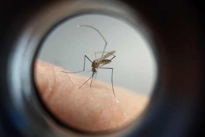 Paraná está no top-3 no coeficiente de incidência da dengue no Brasil