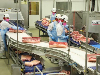 Paraná é o principal produtor de carne suína para consumo interno