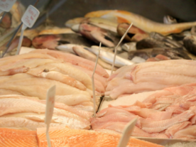 Curitiba abre pontos de venda de peixes para a Páscoa; veja os locais