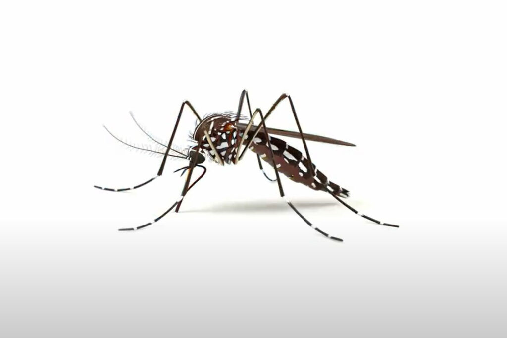 Paraná lança campanha contra dengue com inteligência artificial 