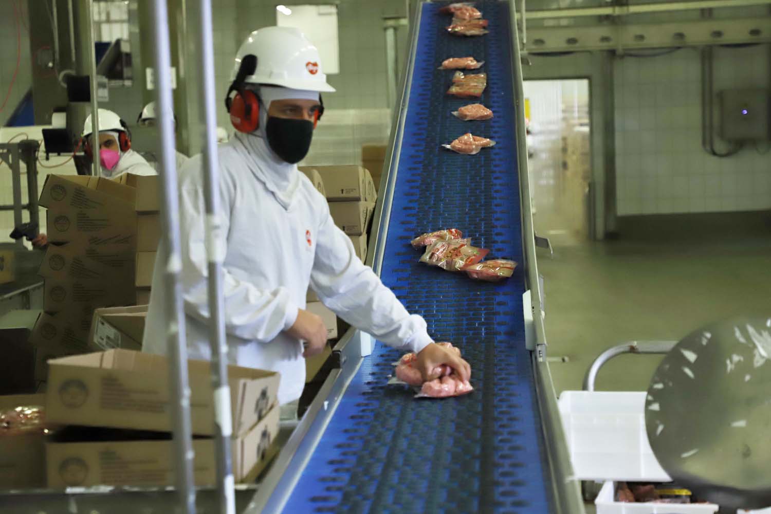 exportações carne suína Paraná Brasil