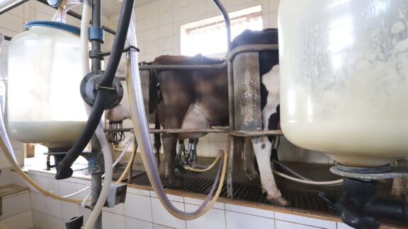 Paraná propõe mudanças de tributação para conter importação de leite em pó