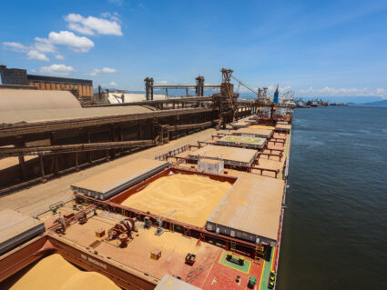 China recebe mais de 91% da exportação de soja do Porto de Paranaguá