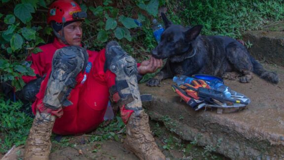Paraná vai mandar novos bombeiros com cães de busca para o Rio Grande do Sul
