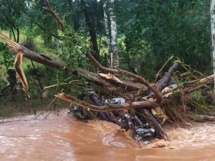 Chuvas no Paraná: casal morre após ser levado pela correnteza